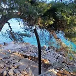 Dida Ante * Blato (Korcula)